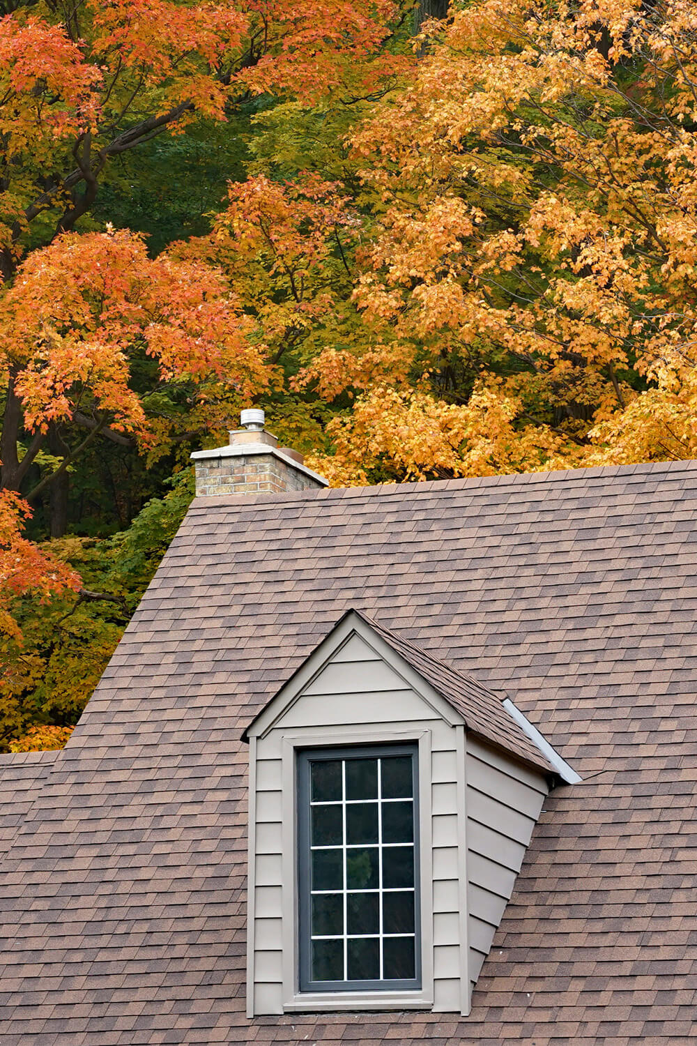 cost of roof replacement for homes in Colfax